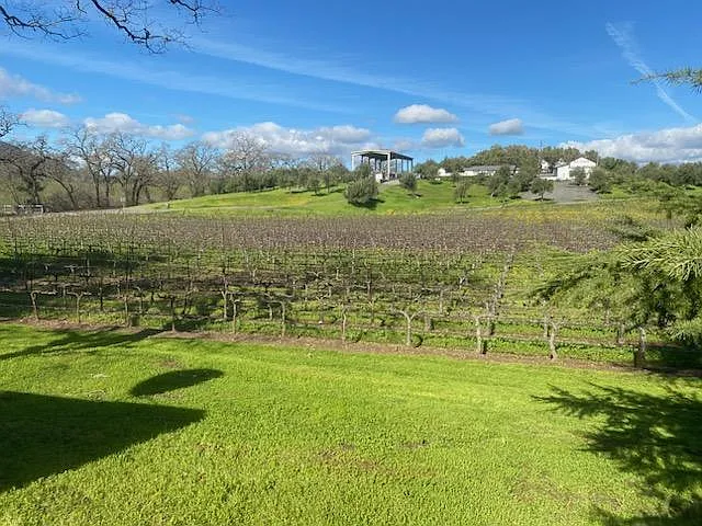15150 Sonoma Hwy — Photo 13