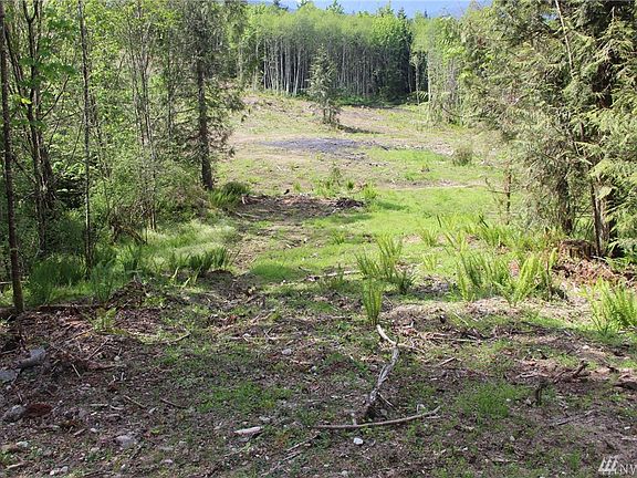 2nd image of 9999 Elk Run Traillot #2