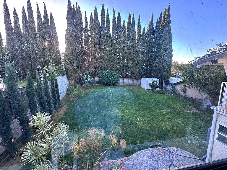 backyard, italian cypress landscaping