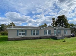 734 Tunnel Rd, Pt Crane, NY 13833