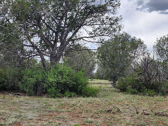 4th image of 97C W Rattlesnake Rd