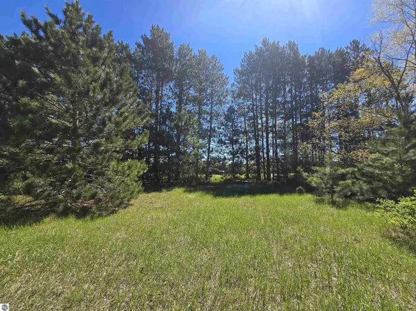 0 N 3rd Rd, Mesick, MI 49668