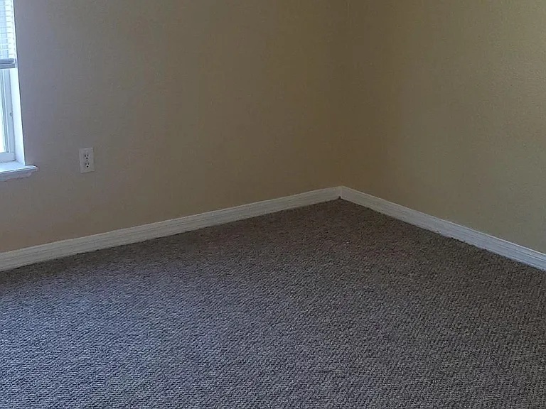 1707 Corner Meadow Cir — Photo 19