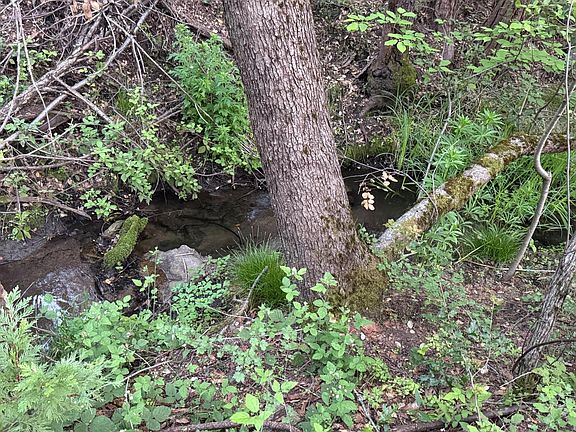 3rd image of 45167 Tolladay Rd