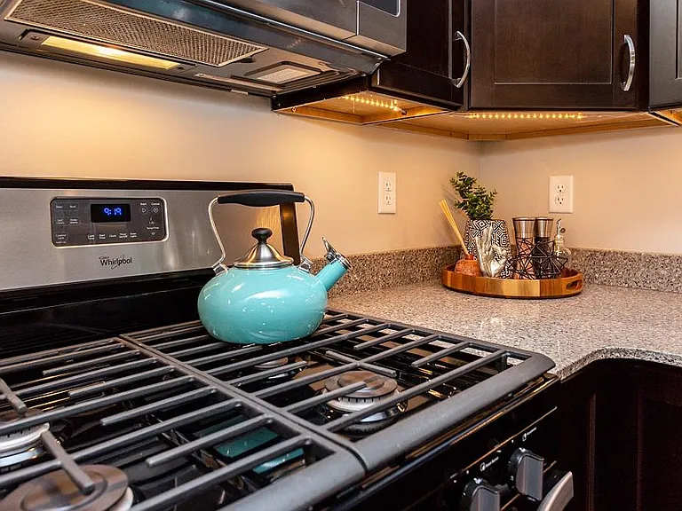 Gas Range Stove