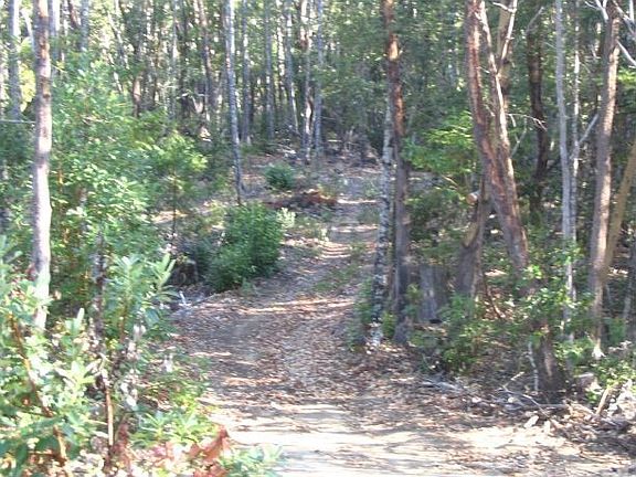 ATV or horseback riding roads leading thru property