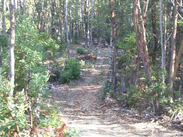 ATV or horseback riding roads leading thru property