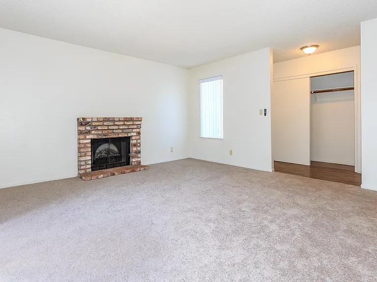 Living Room Fireplace