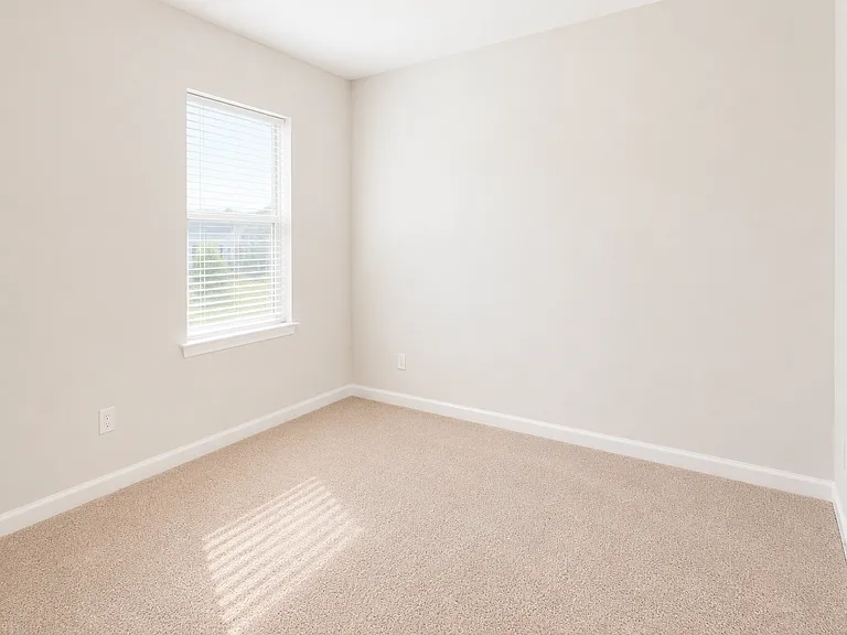 1536 Olive St — Photo 15