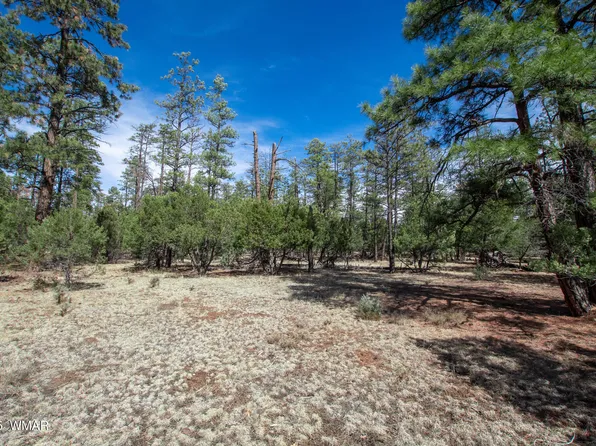5343 Stilletto Dr, Lakeside, AZ 85929