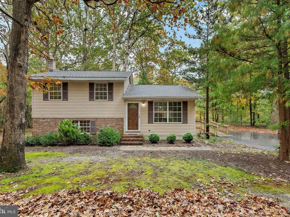 31703 Hickory Manor Rd, Frankford, DE 19945