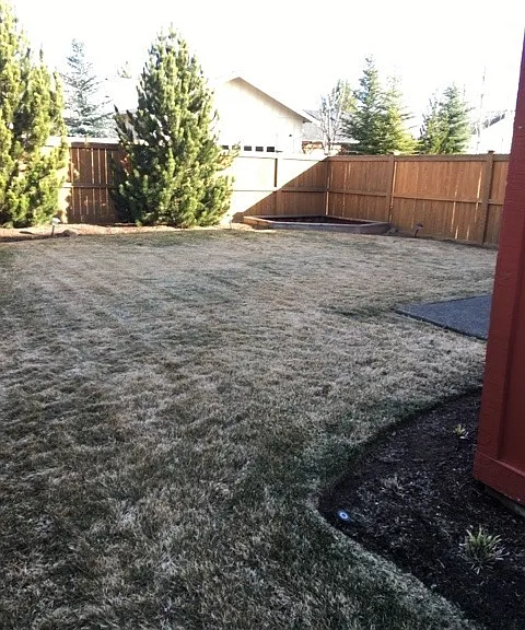 20642 Songbird Ln — Photo 3