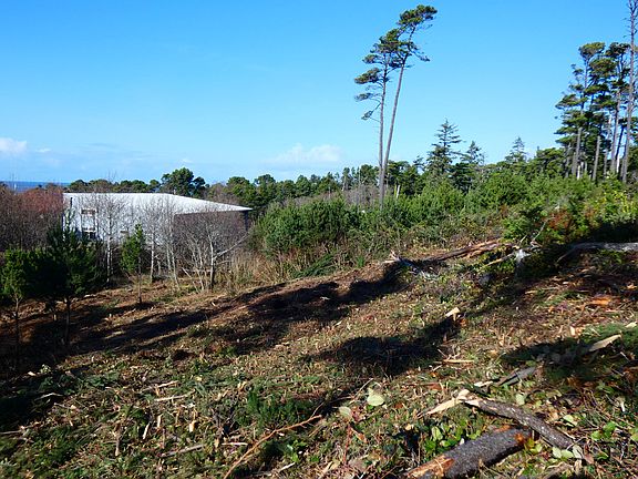 5th image of LOT 2 NW Crane St