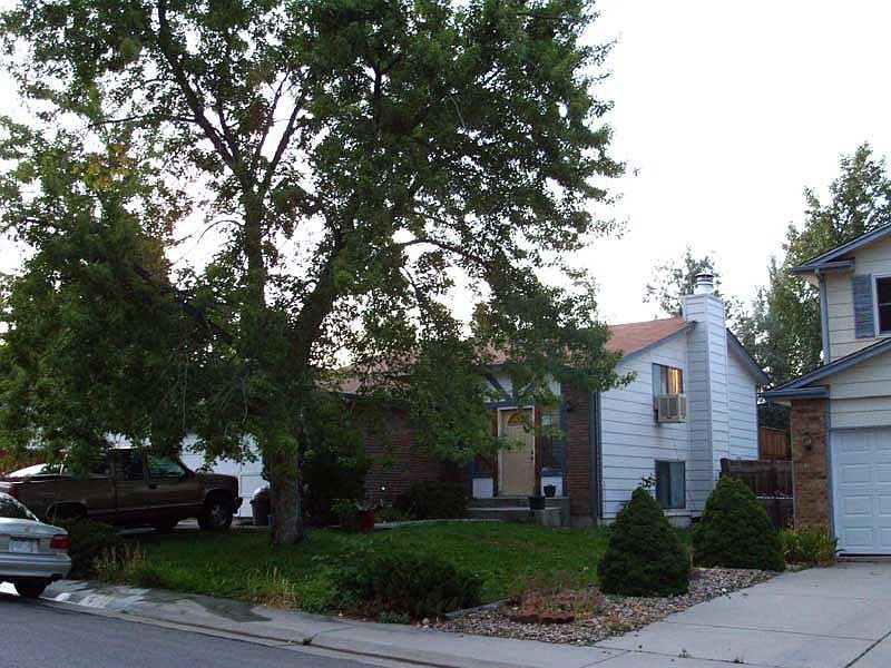 View of the front yard from the SE