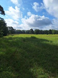 0 Highway 184 E, Donalds, SC, 29638