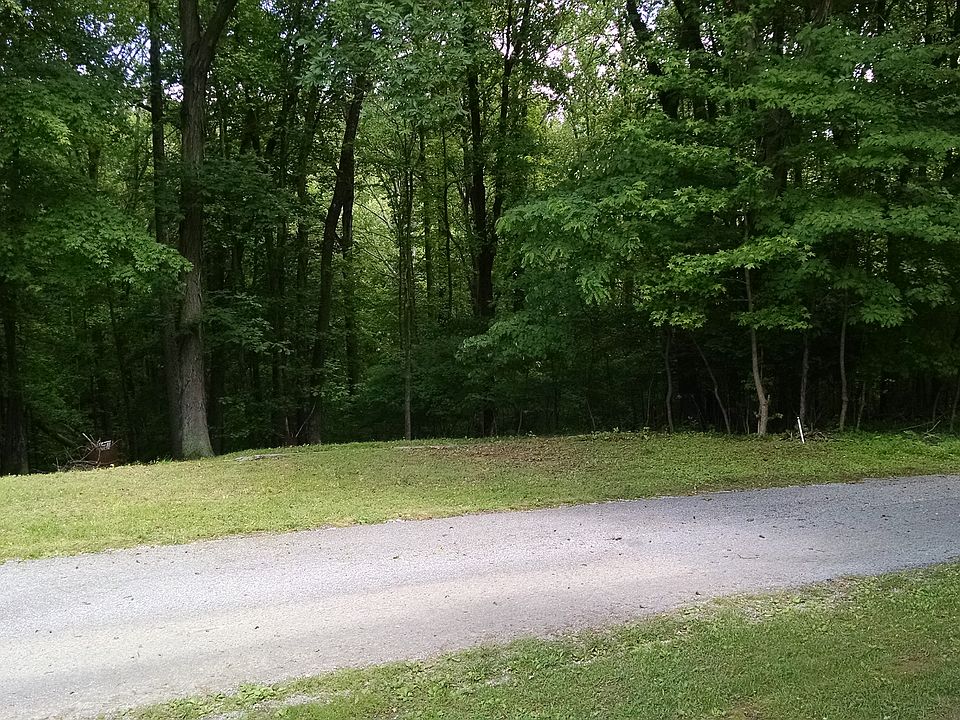 2nd image of Barkley Shrs #85