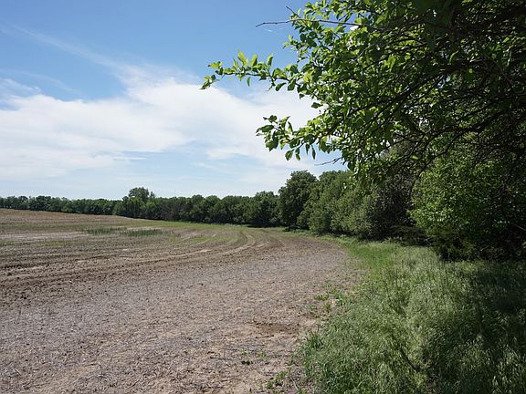 East edge of timber