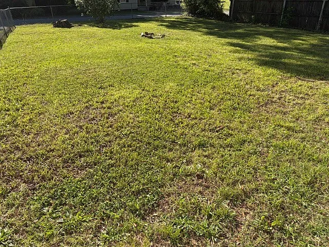 710 Westwood Dr — Photo 13