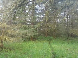 127 Apling Dr, Toledo, WA 98591