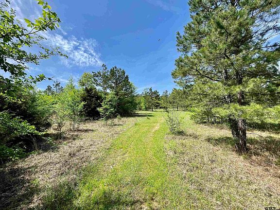 5th image of 19808 County Road 444
