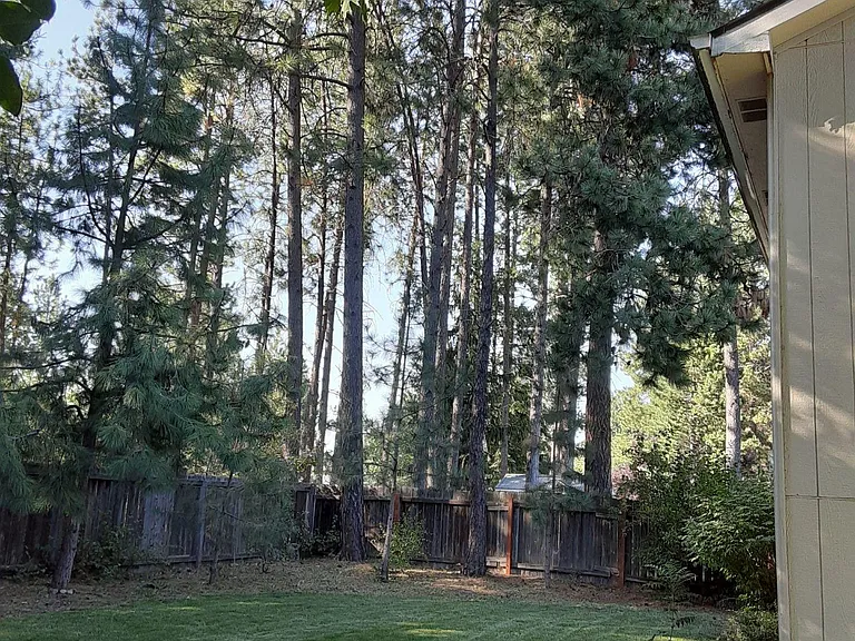 3741 N Whisper Dr — Photo 12