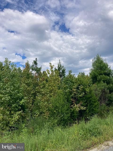 2nd image of Kelly Rd