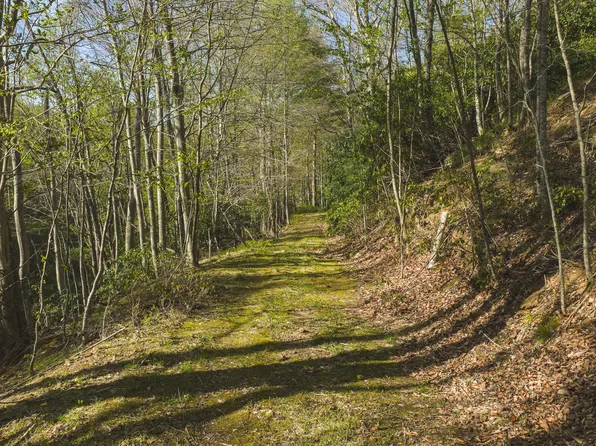 Black Ridge Rd SW, Floyd, VA 24091