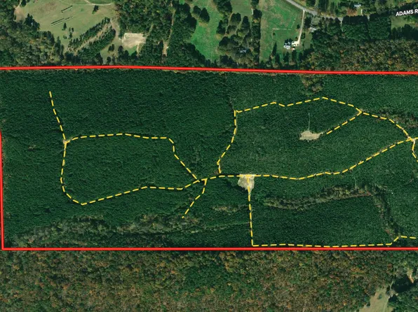 147/AC Bankston Rd, Meansville, GA 30256