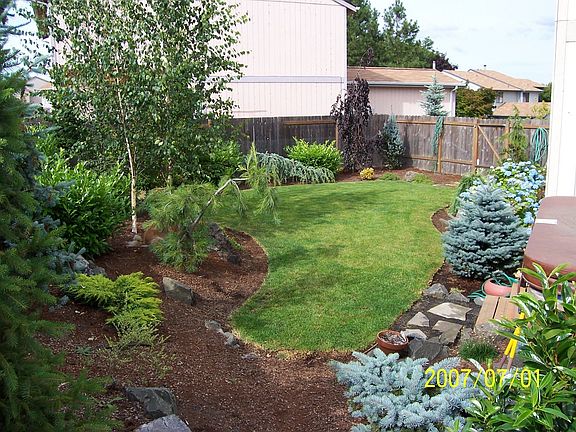 yard looking back to front