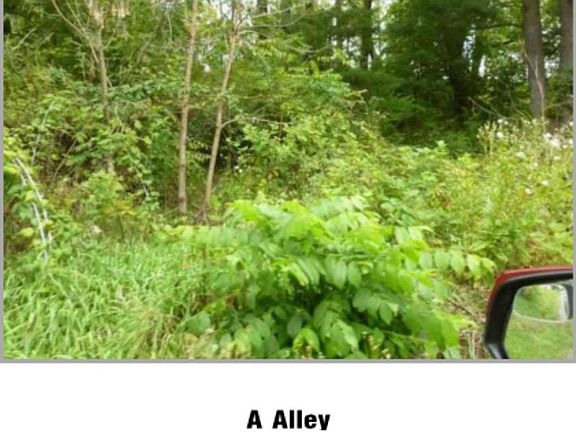 3rd image of 0 Alley