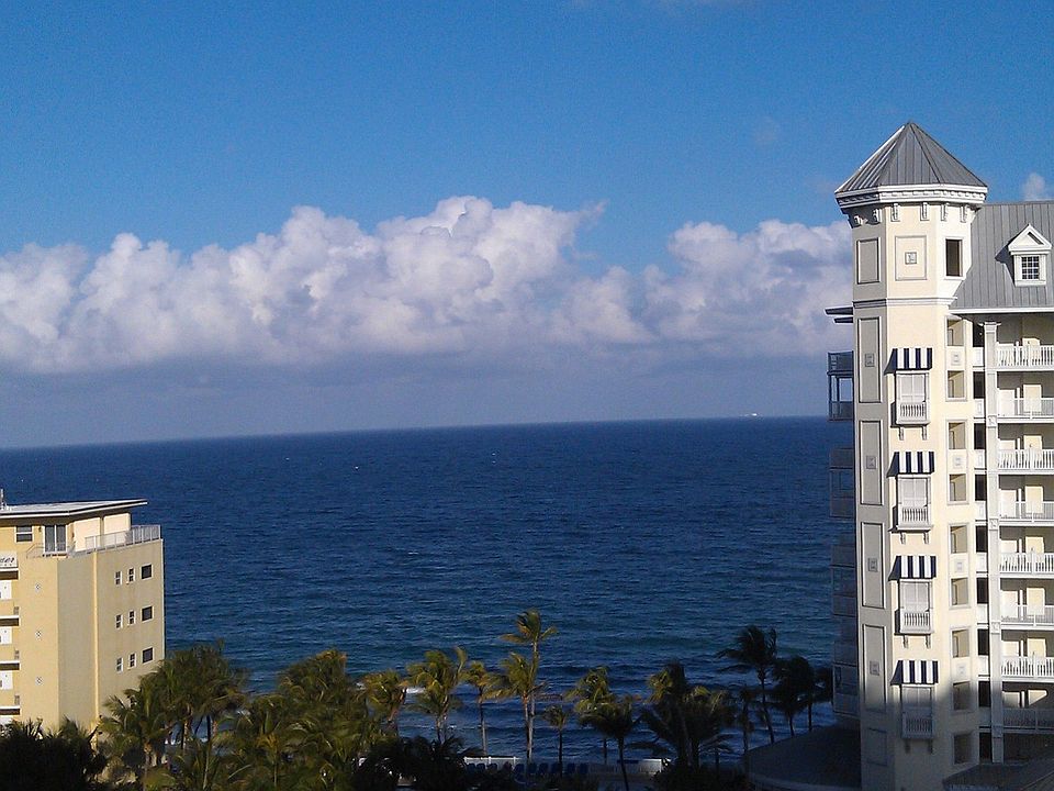 View from Unit
