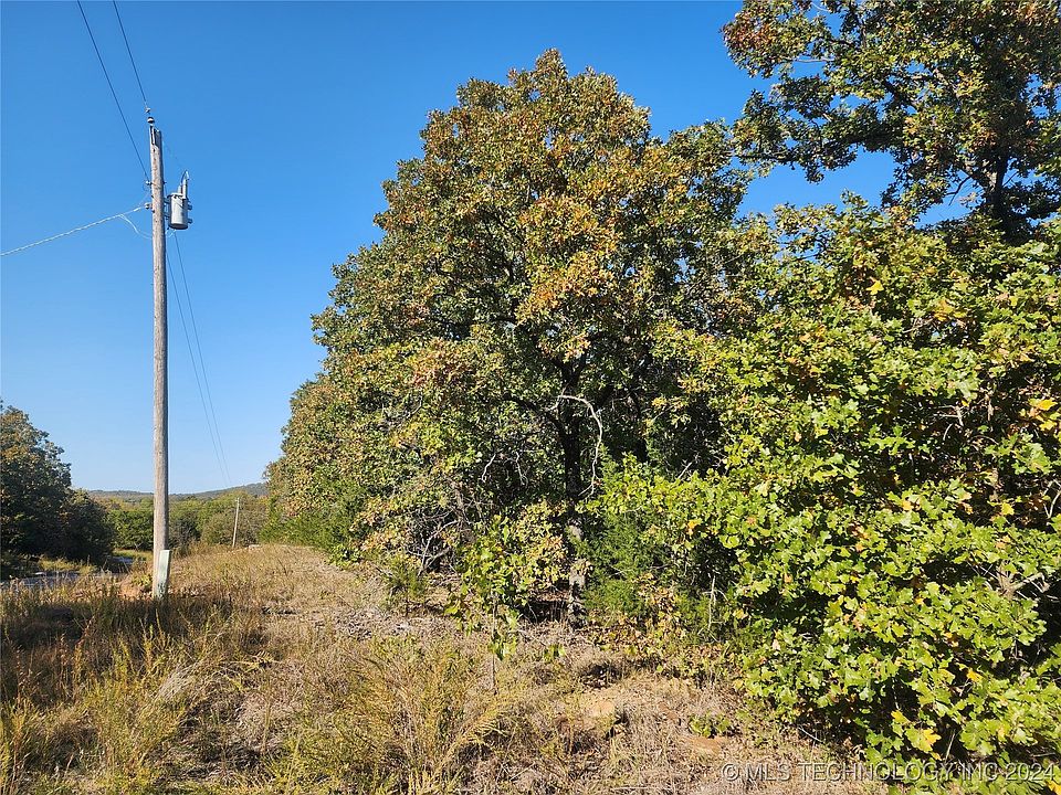 2nd image of 425 Hickory Shade Dr