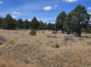 Pintail Dr, Alturas, CA 96101