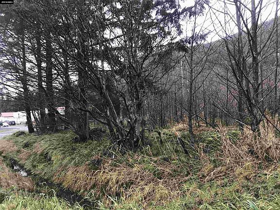 5th image of 5068 N Tongass Hwy