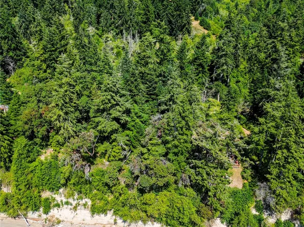 0 150th Avenue, Anderson Island, WA 98303