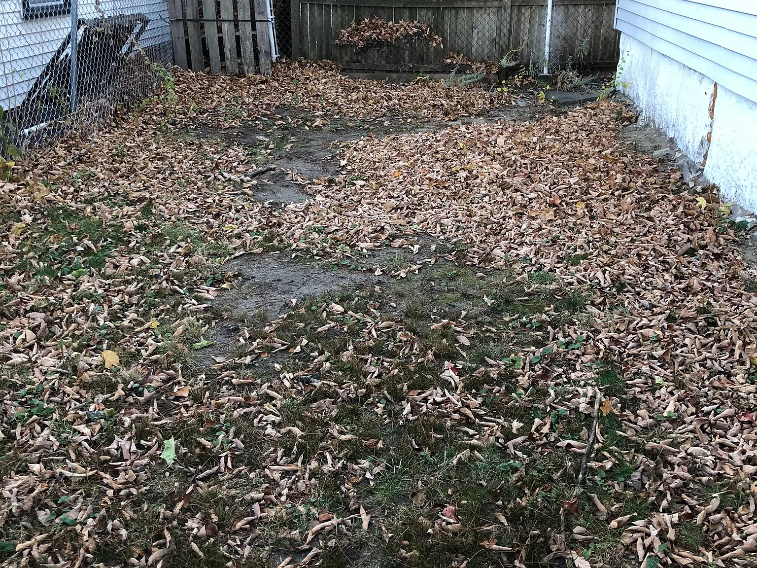 1/2 Beech St, Nashua — Photo 3