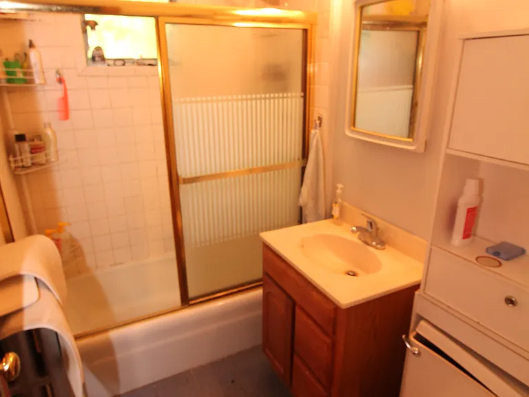 33 Wilson Park #3P — Photo 8