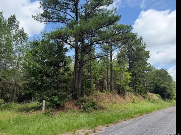 0 County Road 100, Fayette, AL 35555