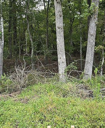 3rd image of 23267 Us Highway 271