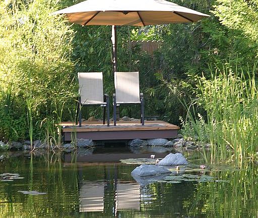 Beautiful View from the Pier