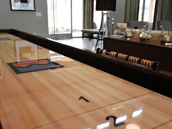 Shuffleboard