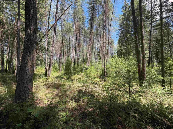 Nna 46 Ares Way, Priest River, ID 83864