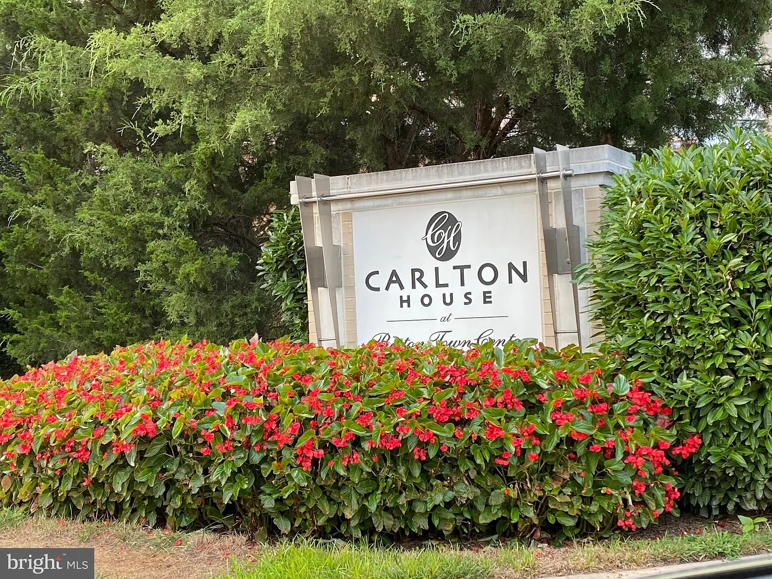 Carlton House Co — Photo 2