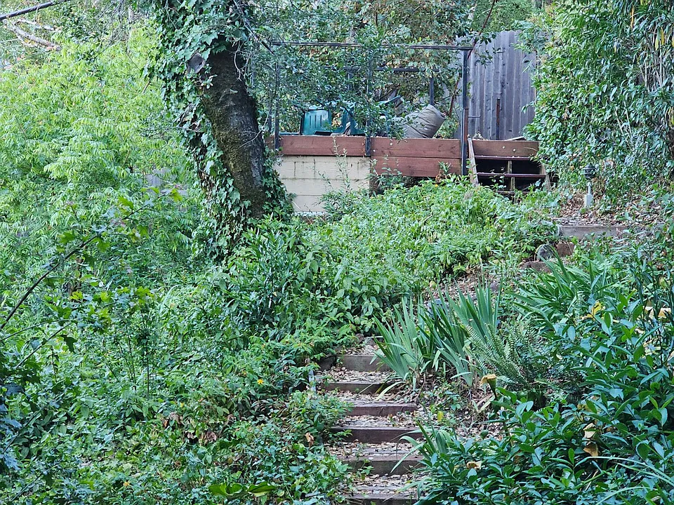 Meditation platform