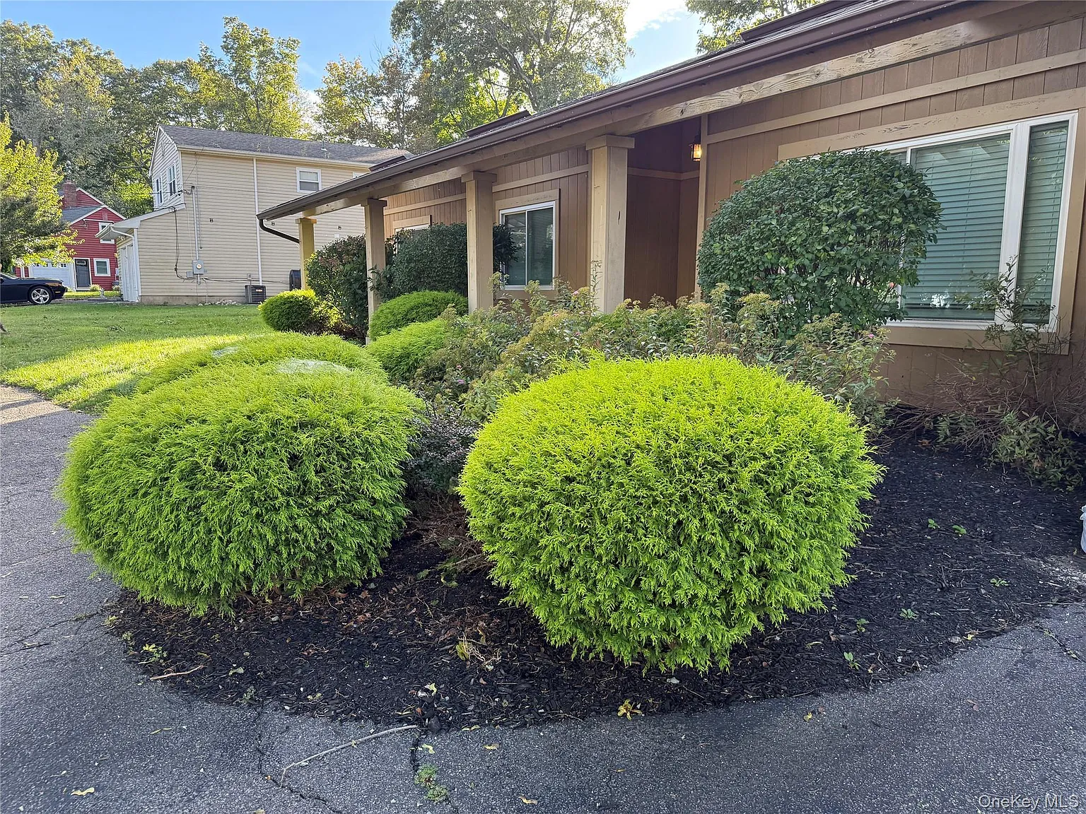 3 bed, 1.0 bath, 1215 sqft, $3,700 — Photo 3