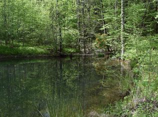 1000 Shadow Ln, Blue Ridge, GA 30513