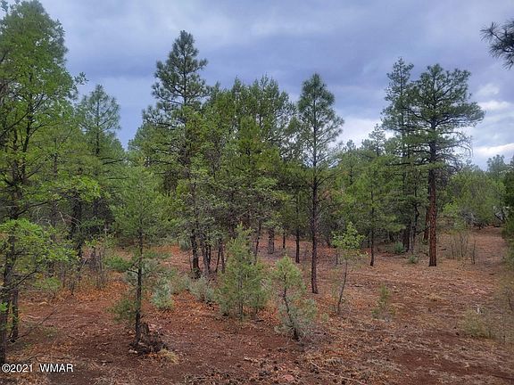 4th image of 520 W Aspen Trl