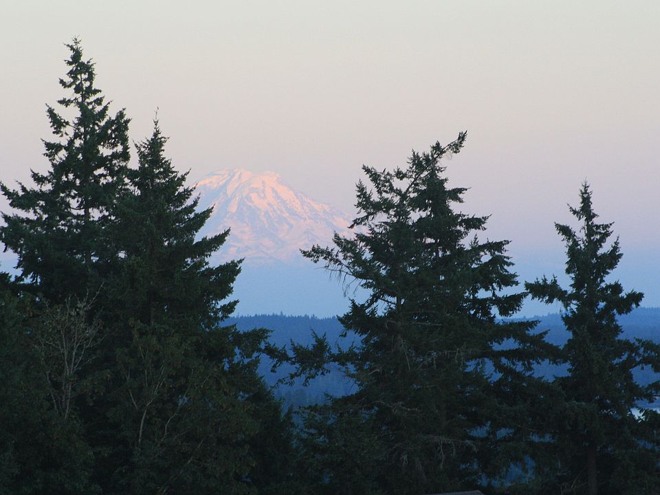 View of Mt. Rainier - Master