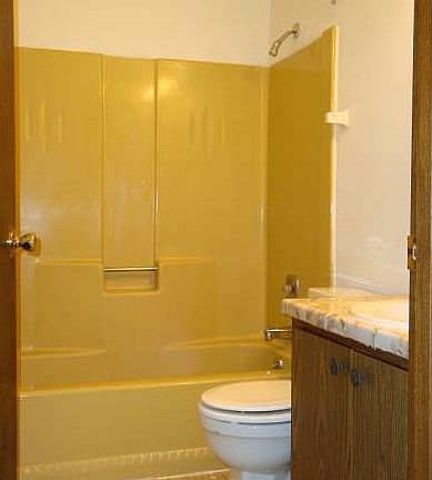 Your clean bathroom!