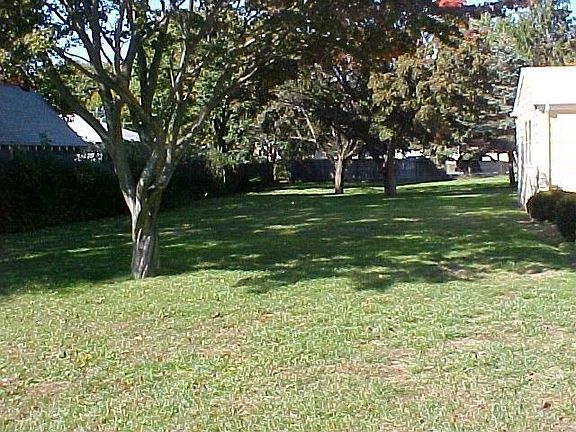 Very Large Backyard - Great for summer BBQ's